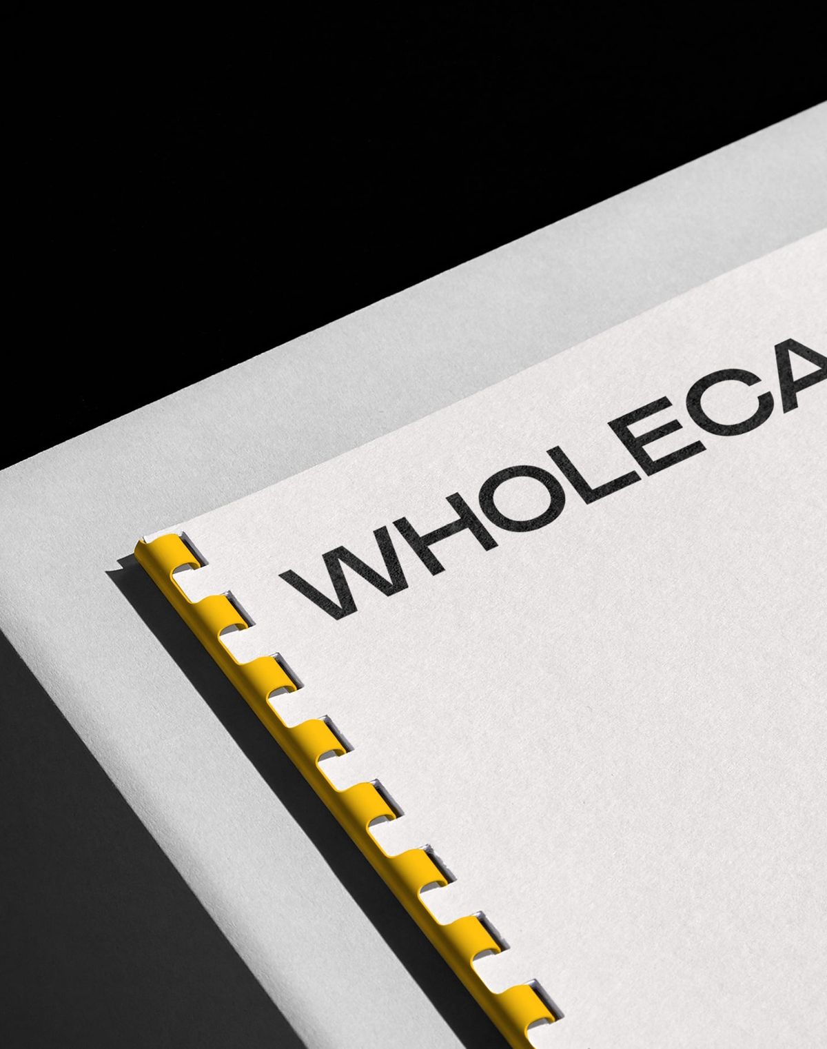 Wholecap - Brand and Website Design - Financial Capital Raising Ring Bound Documents | Atollon - a design company