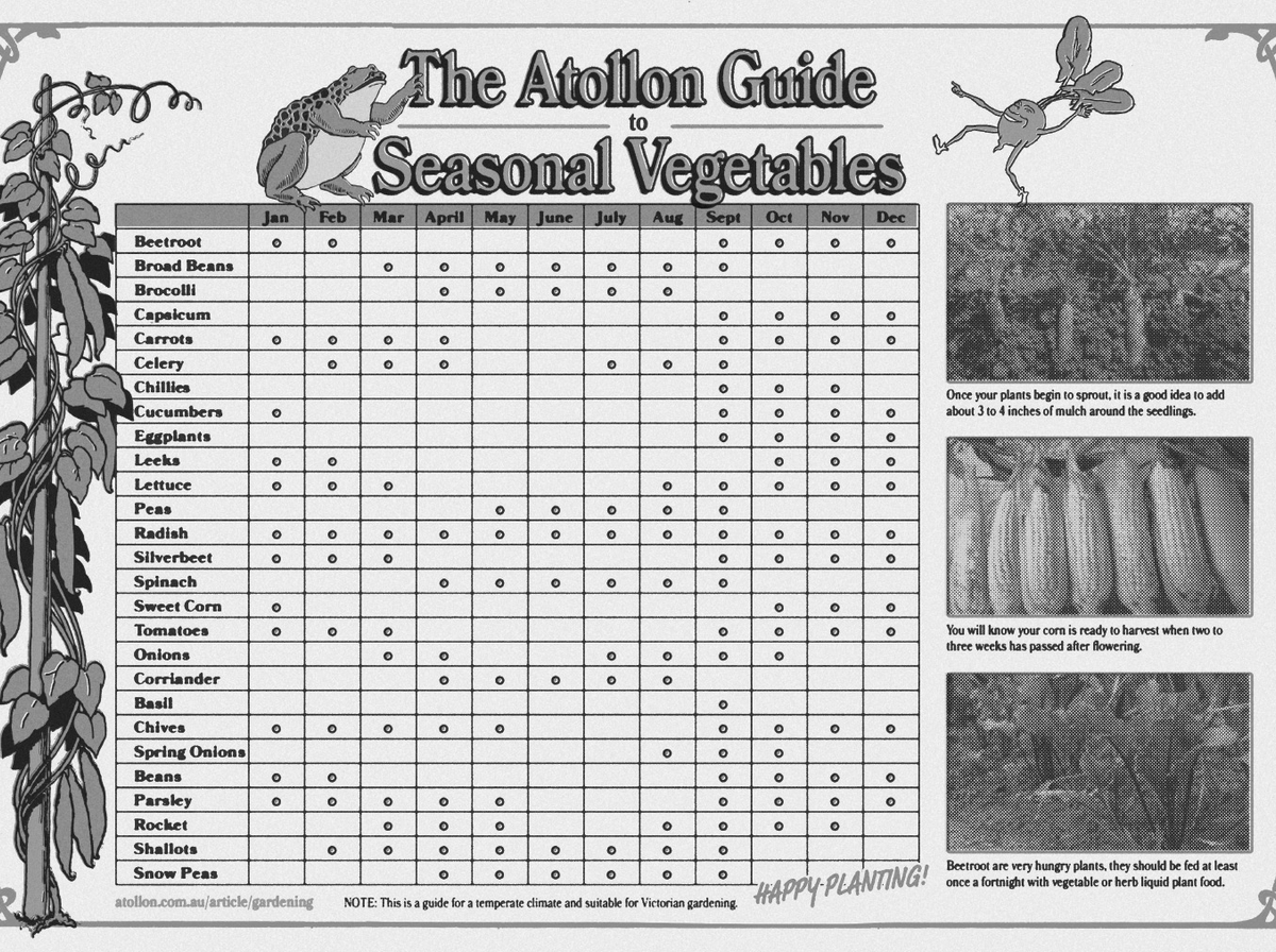 Atollon's Seasonal Vegetable Planting Guide
