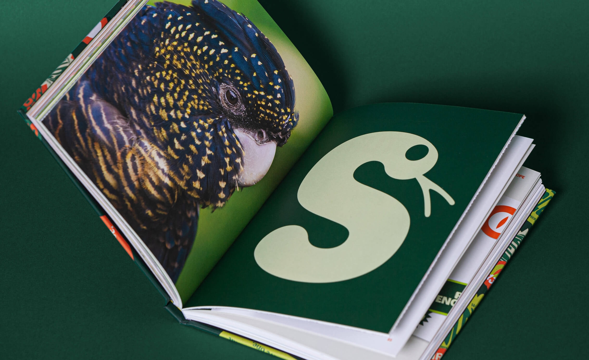 Reptile Encounters - Brandbook Internal Spread Snake | Atollon - a design company